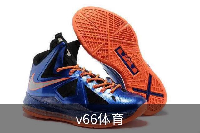 v66体育公司简介